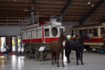 Hesteomnibus fra Frederiksberg Sporveje fra slutningen af 1800-tallet.