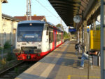 22.08.2019: NEB nr. VT 513 af typen Regio Shuttle RS1 fra ADtrans (Stadler) på Bahnhof Angermünde.