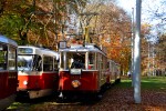24.10.2013: Trevognstoget i sløjfen i parken ved Výstaviště.