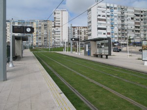 17.03.2008 og viser stoppestedet Cova da Piedade, hvor sporarealet mellem og omkring sporene er udfyldt med naturgræs.