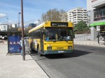 07.04.2009: Volvo B10R standardbus nr. 1441 ved stoppestedet Calhariz på Rua Ribeiro Reis.