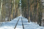 25.03.1013: Mellem stoppestederne Am Stadtwald og Hegermühle i baggrunden er sporvejen omkranset af skov på begge sider.