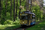 19.05.2013: Gotha vogn nr. 32 (ex Dessau nr. 44) i Forst Köpenick ved Fichtenauer Weg, hvor der indtil 1942 var et stoppested.